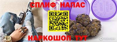 МДПВ Волгодонск