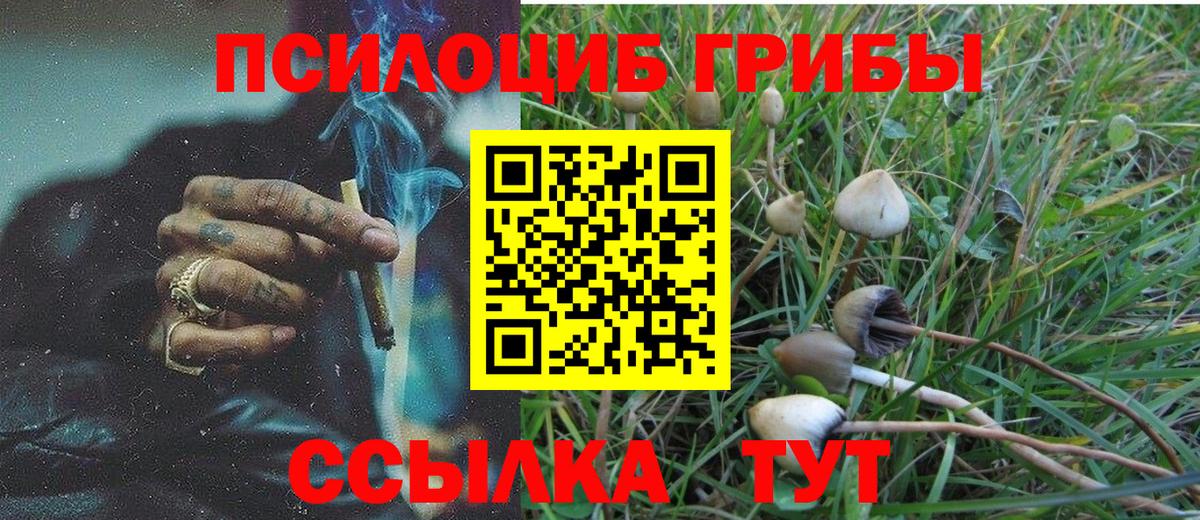 Псилоцибиновые грибы GOLDEN TEACHER  Вход с VPN  Белебей 